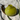 Bird Vase Klein