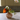 ReUse Bird Vase